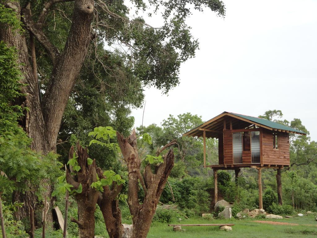 Sigiri Forest View سيغيرِيا المظهر الخارجي الصورة