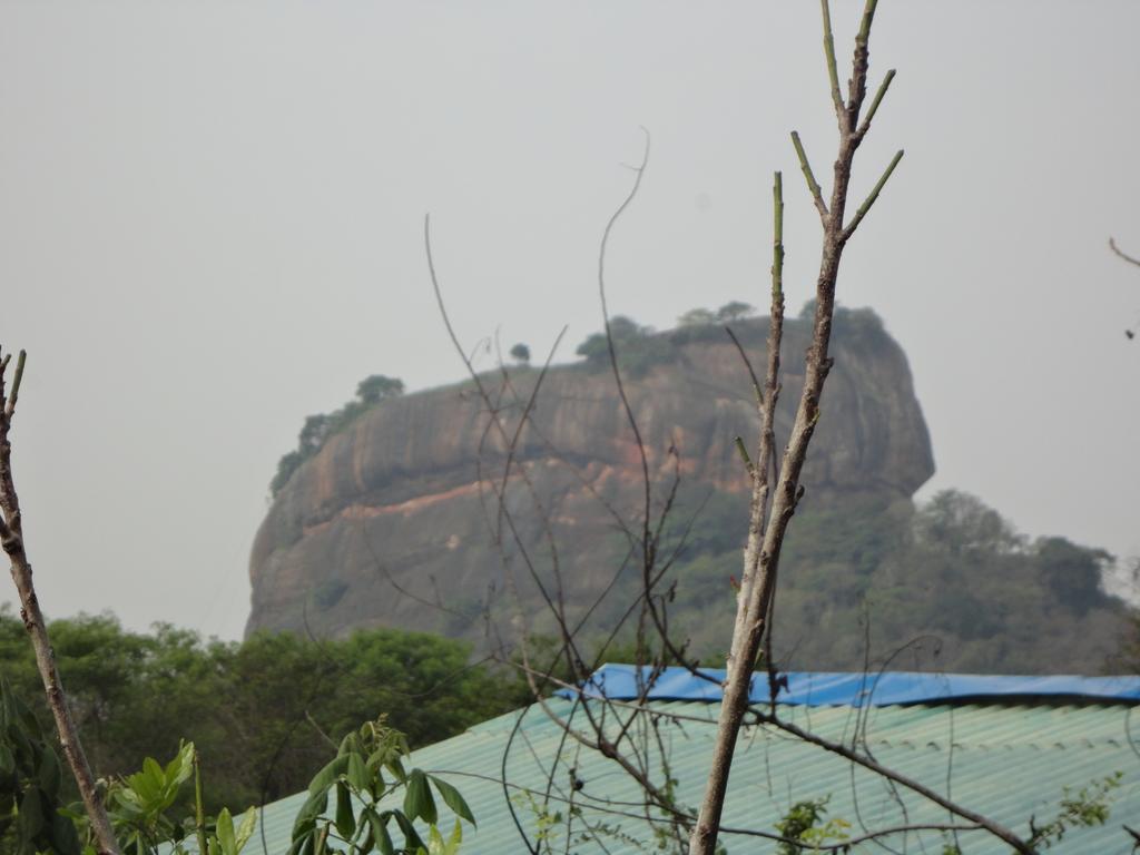 Sigiri Forest View سيغيرِيا المظهر الخارجي الصورة