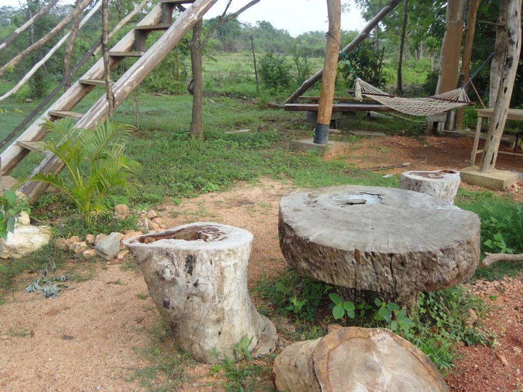 Sigiri Forest View سيغيرِيا المظهر الخارجي الصورة