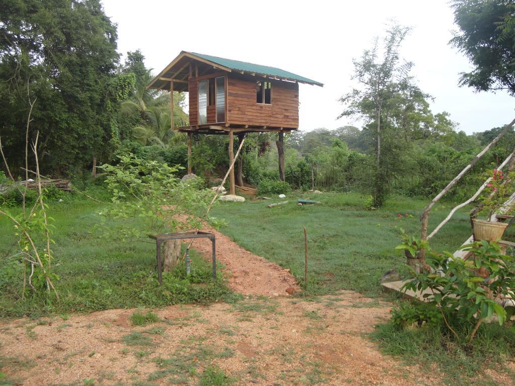 Sigiri Forest View سيغيرِيا المظهر الخارجي الصورة