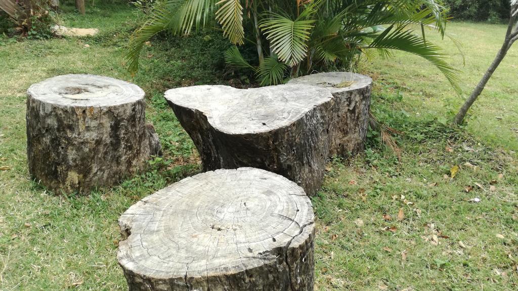 Sigiri Forest View سيغيرِيا المظهر الخارجي الصورة